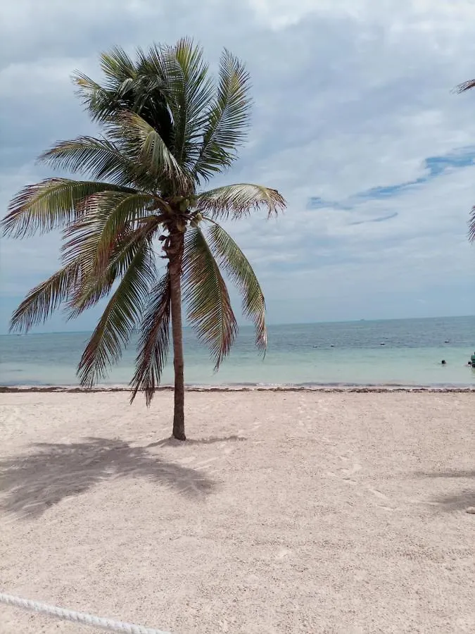 Corazon Del Pescador location