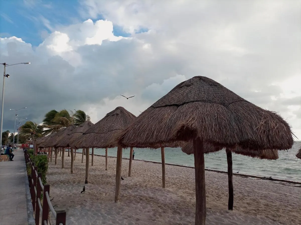 Appartement Corazon Del Pescador à Cancún Séjour chez l'habitant